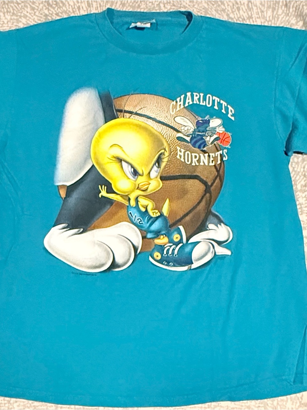 VTG 90s Charlotte Hornets Looney Tunes Tweety Bird T-Shirt XL Teal NBA